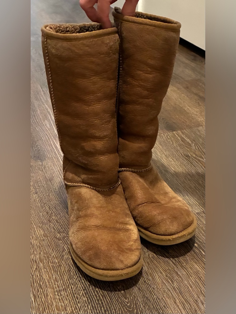 UGG Chestnut Casual  Boots